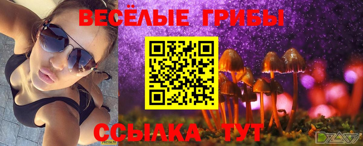 Псилоцибиновые грибы MAGIC MUSHROOMS  Вход с VPN  Галлюциногенные грибы MAGIC MUSHROOMS  Острогожск 
